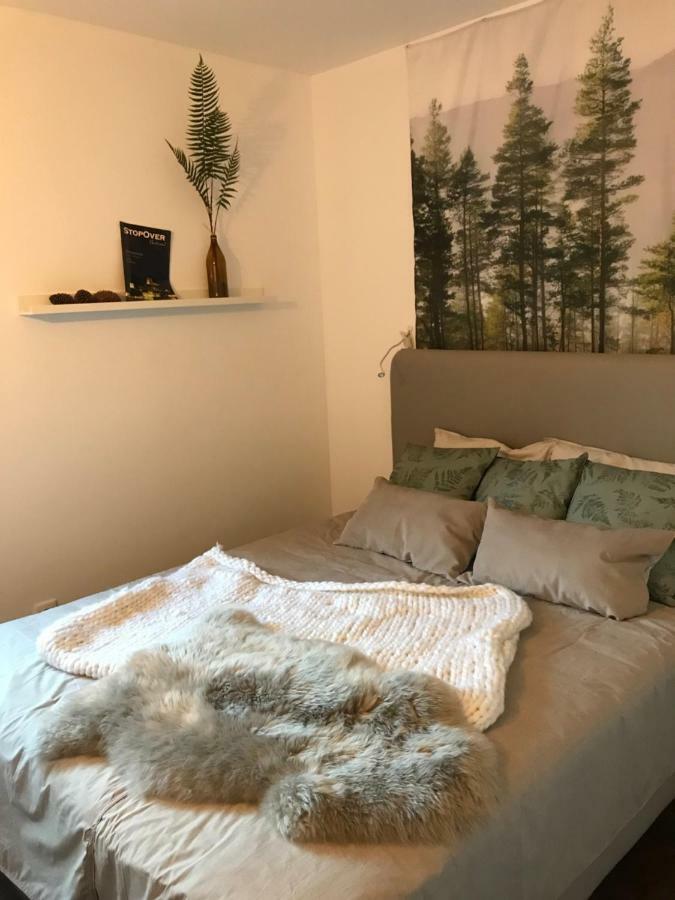 Trajadinha - Swedish House Villa Caminha Dış mekan fotoğraf